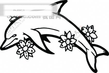 传统图案图腾花纹边框底纹矢量海豚矢量素材矢量图腾矢量纹身图案海豚图腾