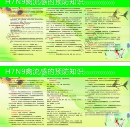 n7h9禽流感宣传展图片