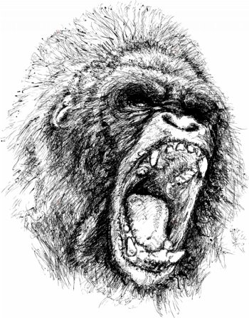 愤怒的大猩猩素描矢量素材