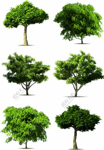 树木矢量素材