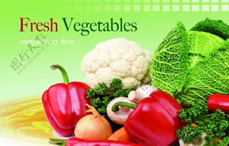 新鲜蔬菜图片PSD分层素材