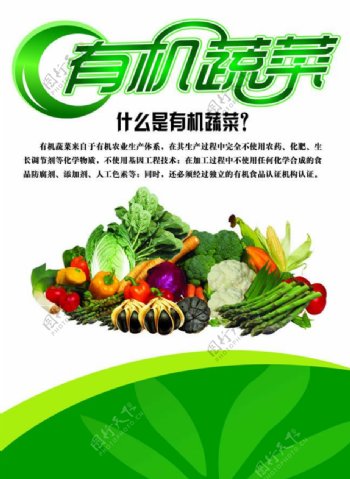 有机蔬菜宣传海报设计psd素材