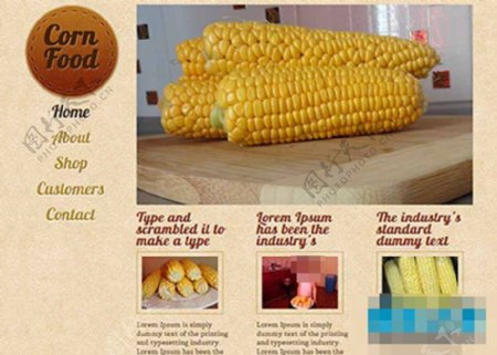 漂亮的玉米食品展示html5模板