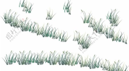 小草绿草植物图片