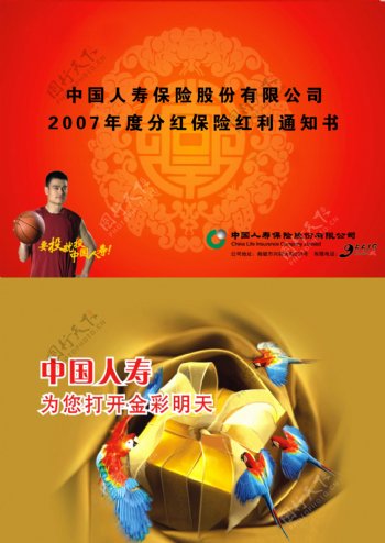 中国人寿红利通知书图片