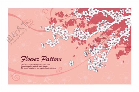 马蹄莲与郁金香等手绘花朵矢量素材4