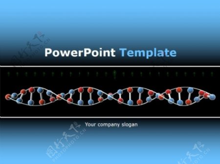 医务深蓝色DNA曲线结构ppt模板