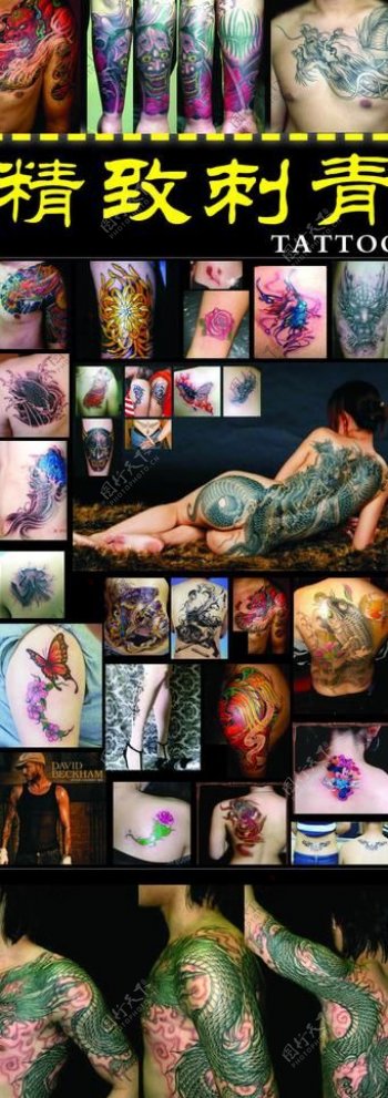 刺青纹身易拉宝设计图片