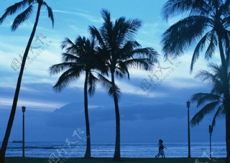 海岛风情旅游观光沙滩风情海边椰树海浪异国风情情侣