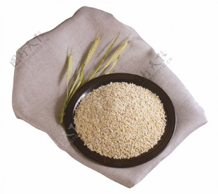 米业粮食农业图片