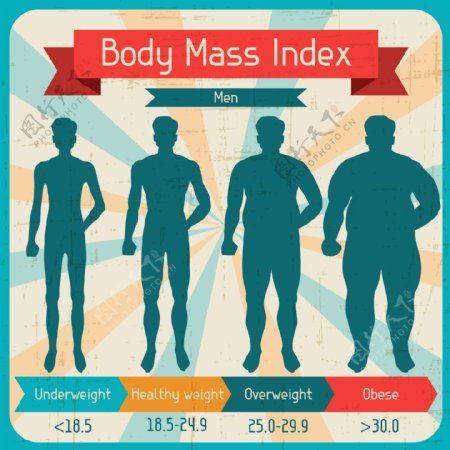 人的身体质量指数图矢量素材