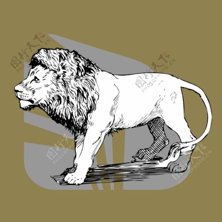 印花矢量图动物狮子男装免费素材