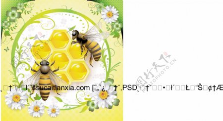 蜂蜜蜂王浆海报矢量素材