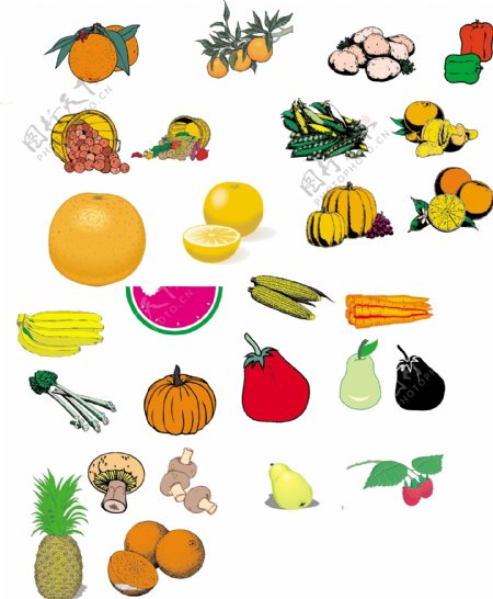 蔬菜水果4图片