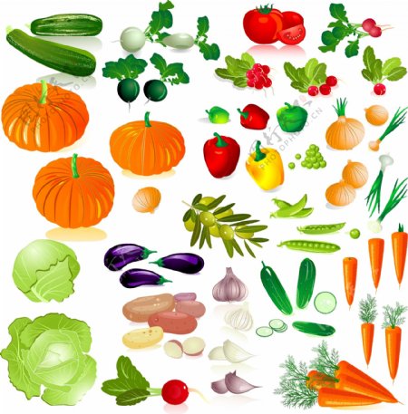 新鲜蔬菜和水果矢量