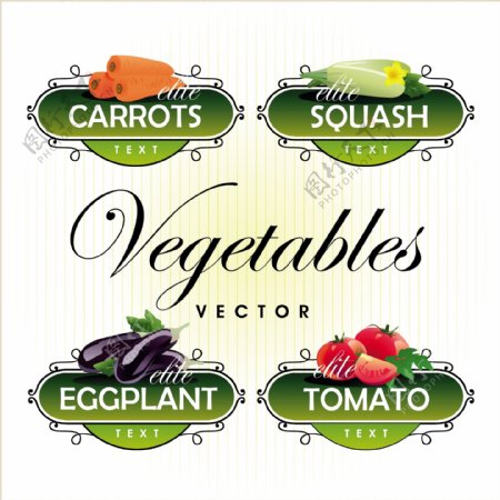 新鲜的水果和蔬菜的标签向量03