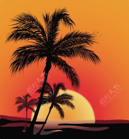 椰子向量影响海边日落的材料