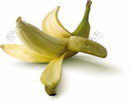 现实的香蕉设计矢量图