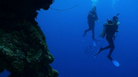 两名潜水员在公开水域游泳在礁股票视频视频免费下载