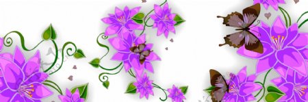 唯美紫色花卉