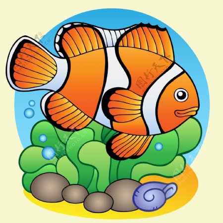 印花矢量图卡通动物鱼色彩免费素材