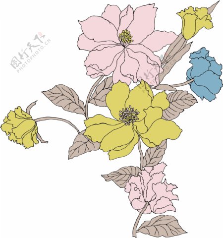 植物韩国花纹