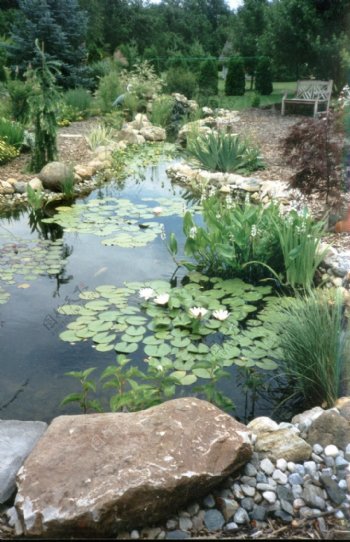 欧式园林水景休闲椅石头植物图片
