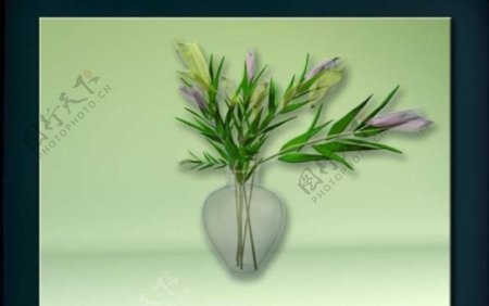 装饰构件之植物3D模型植物003