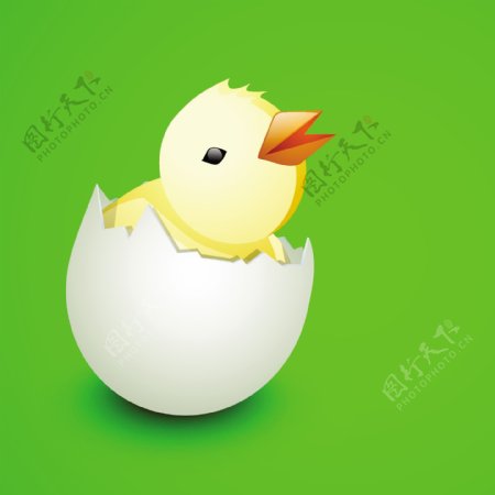 复活节快乐的背景或卡与可爱的小鸡从蛋在有光泽的绿色背景