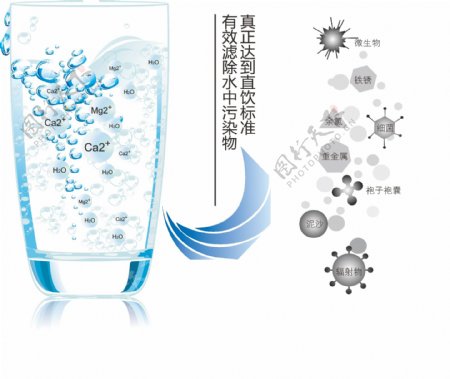 玻璃杯细菌净水图片