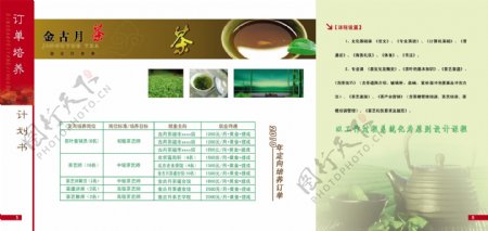 茶艺招生画册图片