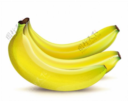 成熟的香蕉
