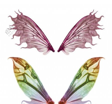 仙女翅膀元素PSD源文件