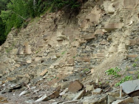 米加沙化石遗址图片