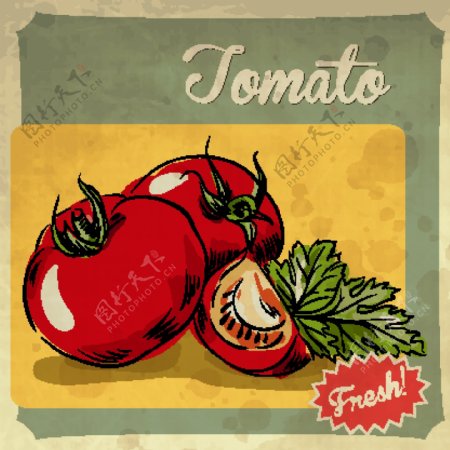 新鲜番茄的复古风格的海报矢量素材03