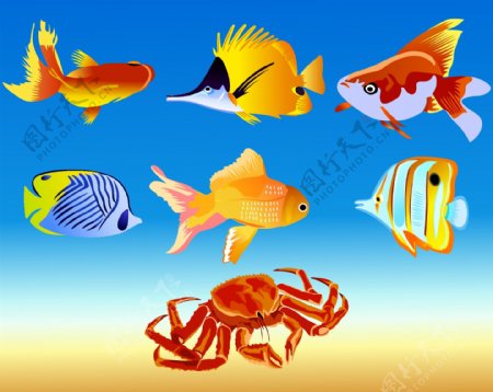 矢量鱼鱼的海洋动物