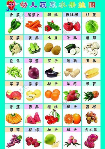 蔬菜水果挂图图片