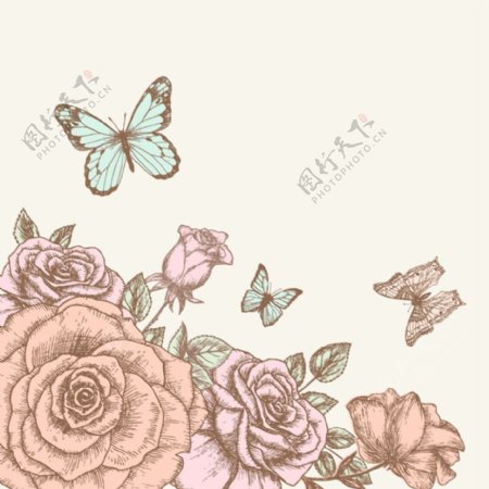 手绘玫瑰与蝴蝶矢量素材