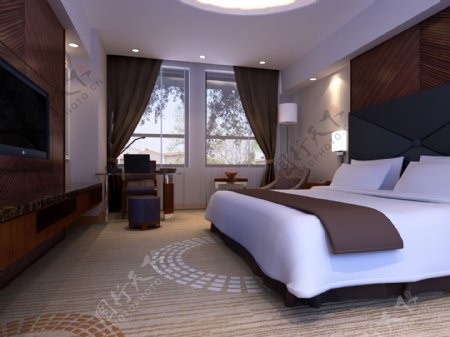 酒店客房地毯效果图图片