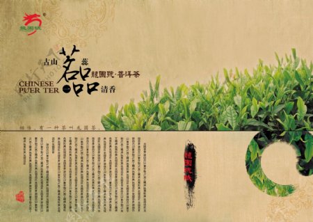 中国风普洱茶宣传广告