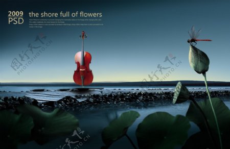海上的小提琴图片