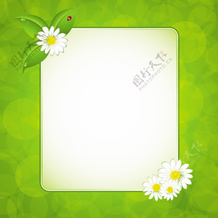绿色植物装饰框矢量素材