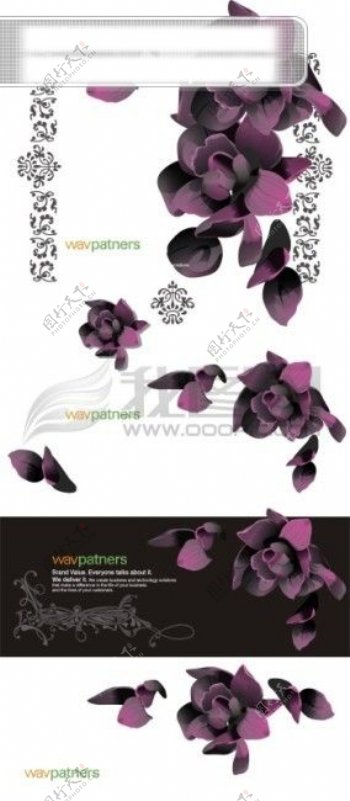 黑底时尚紫色花卉