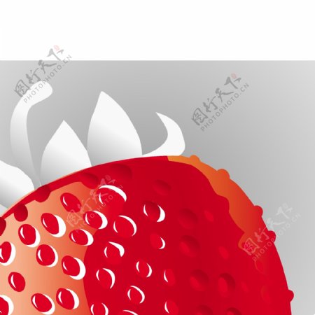 水果素材草莓素材矢量素材