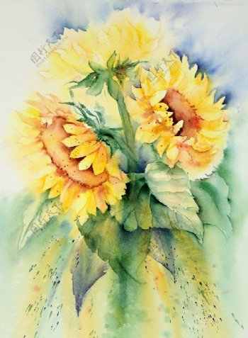 位图植物写意花卉花朵向日葵免费素材