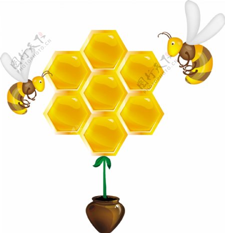 蜜蜂和蜂巢图片
