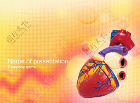 医疗行业心脏模型