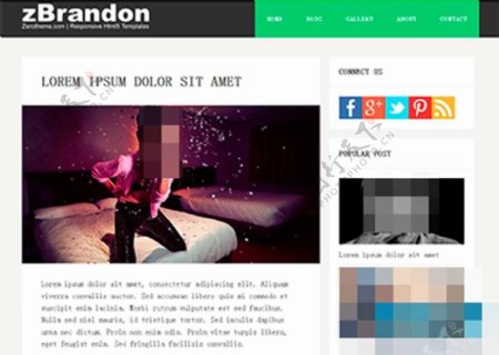 纯色扁平化简洁摄影博客网页模板