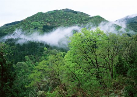 高山流水