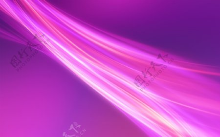 紫色线条